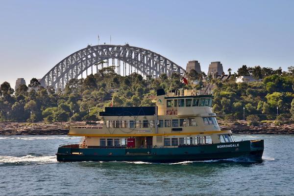 Sydney has over 30 public transit ferries serving 38 wharves making it one of the largest networks in the world