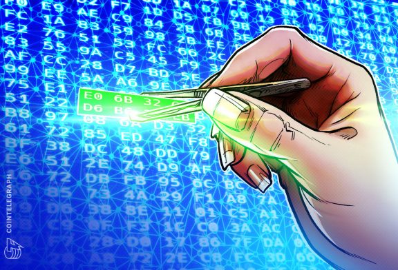 48% fewer new crypto coders last year: Report