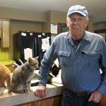 These Retirees Just Wanted Their Cats to Drink More Water. Now Their Remote Side Hustle Makes $80,000 a Year.