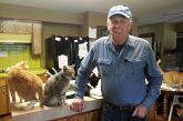 These Retirees Just Wanted Their Cats to Drink More Water. Now Their Remote Side Hustle Makes $80,000 a Year.