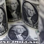 Dollar steady at 5-week peak as Fed rate cut bets tempered