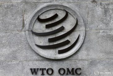 WTO seeks modest outcomes in Abu Dhabi at 'critical juncture' for global trade