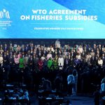 Factbox-What was agreed at WTO negotiations in Abu Dhabi?