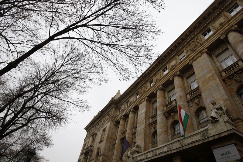 Hungary central bank says credible fiscal planning needed to cut risks