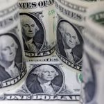 Dollar rally stalls after rare FX warning from finance chiefs
