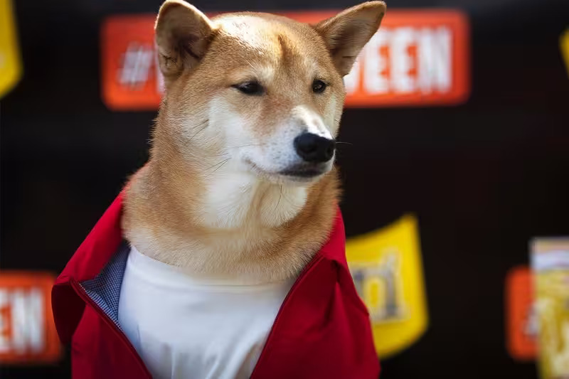 Shiba Inu price outlook for 2024