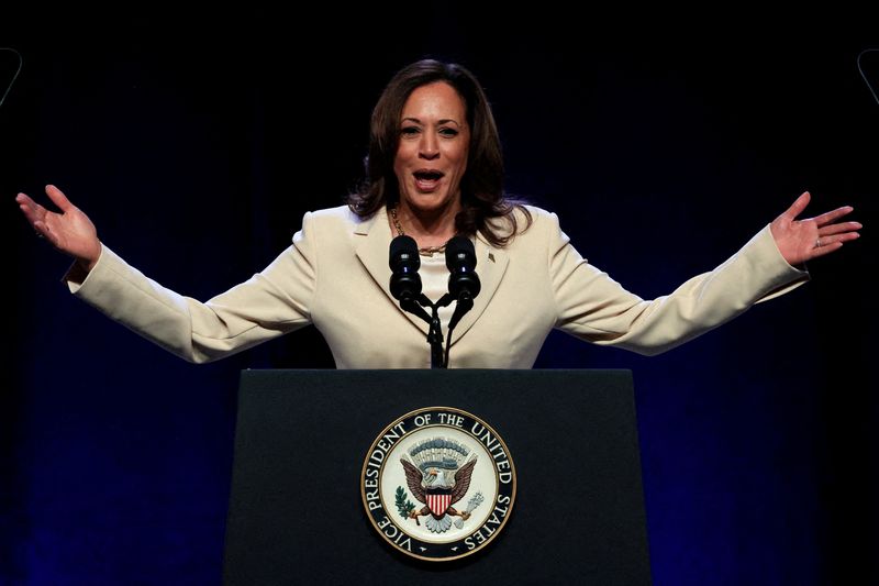 Harris leads Trump slightly after Biden exit- Reuters/Ipsos poll