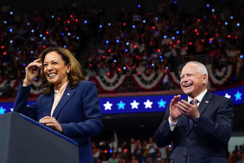 Harris win with divided government currently most likely election outcome: GS