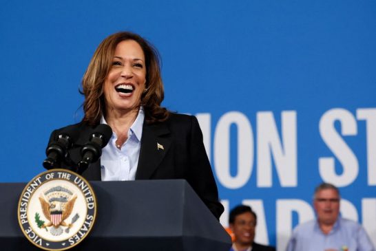 Hispanic voters give Harris edge on healthcare, climate, Reuters/Ipsos poll shows