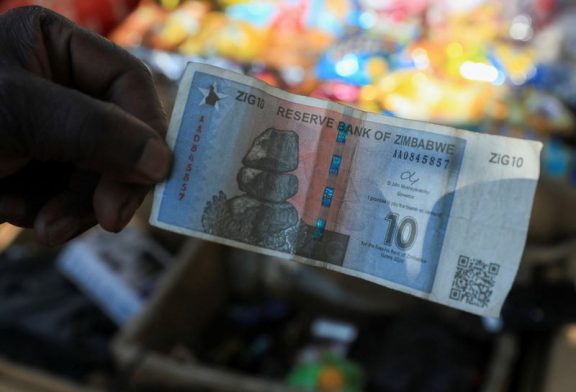 Zimbabwe's new currency faces headwinds five months on