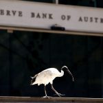 Australia's central bank holds rates, softens hawkish stance slightly