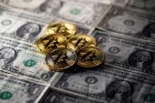 Bitcoin and Dogecoin Correlation Spotlighted by Bloomberg Analyst